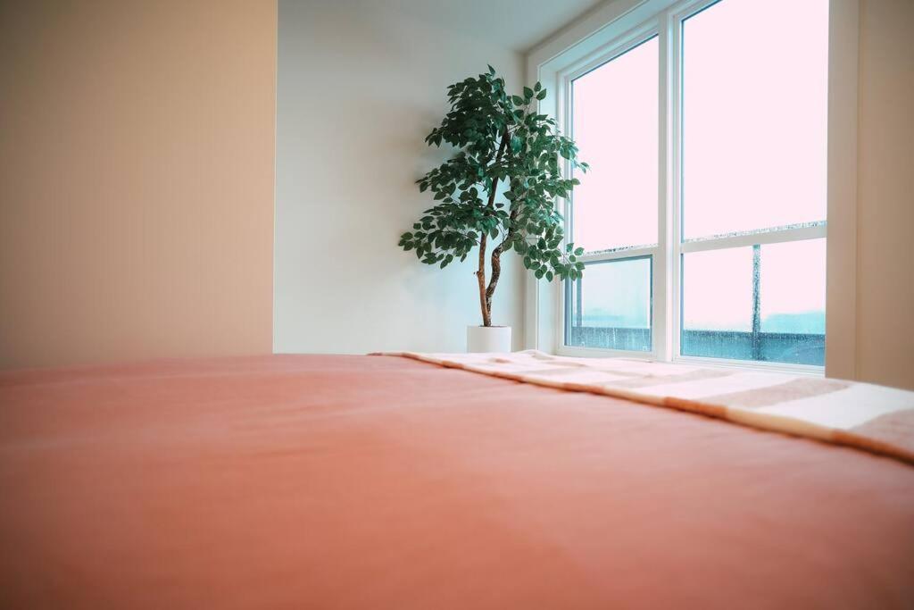 Chic Cozy Retreat - 2Br - Stunning North End Views Apartment Halifax Exterior foto